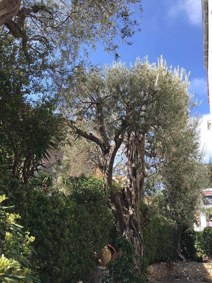 "L'Olivadou" St Jean Cap Ferrat Apartman Saint-Jean-Cap-Ferrat Kültér fotó
