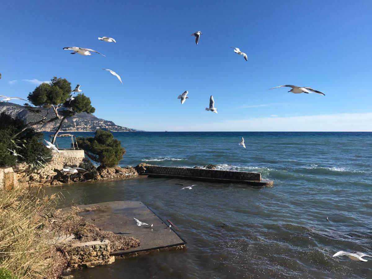"L'Olivadou" St Jean Cap Ferrat Apartman Saint-Jean-Cap-Ferrat Kültér fotó